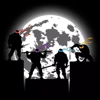 Ninja Turtles RPG  thumbnail