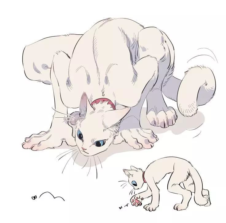 Furry Kitten (Your Furry) thumbnail