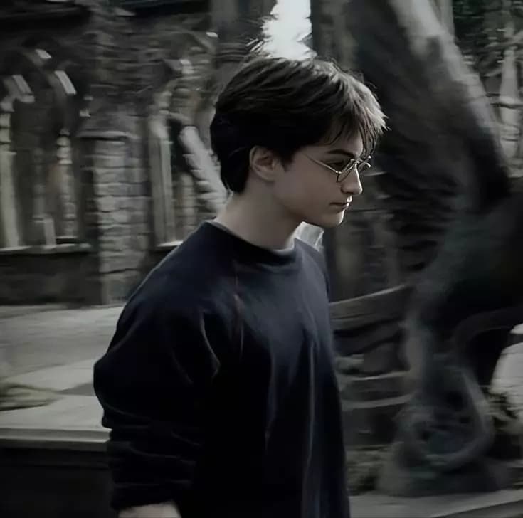 HARRY POTTER. thumbnail