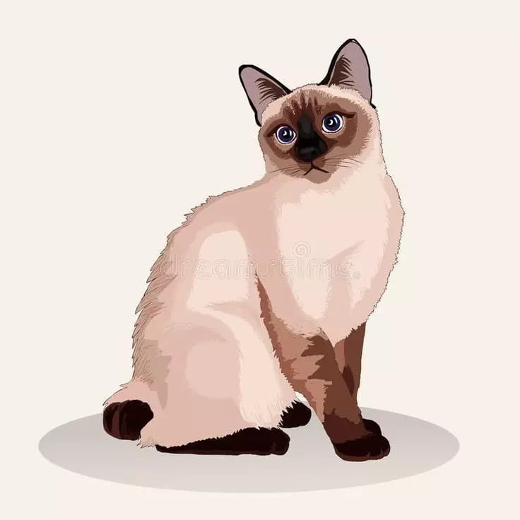 Cat Life thumbnail