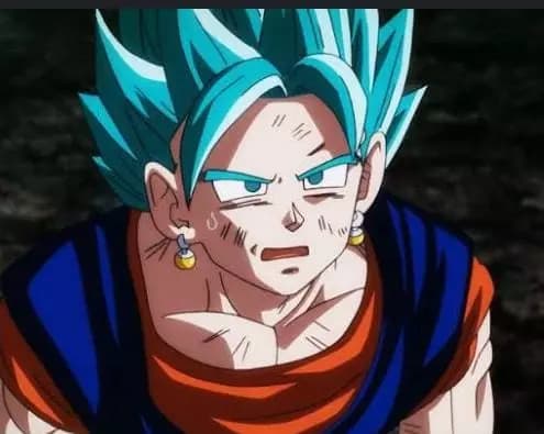 Vegetto thumbnail