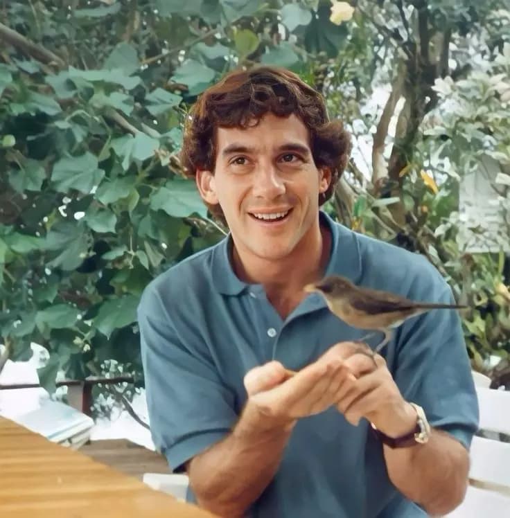 Ayrton Senna thumbnail