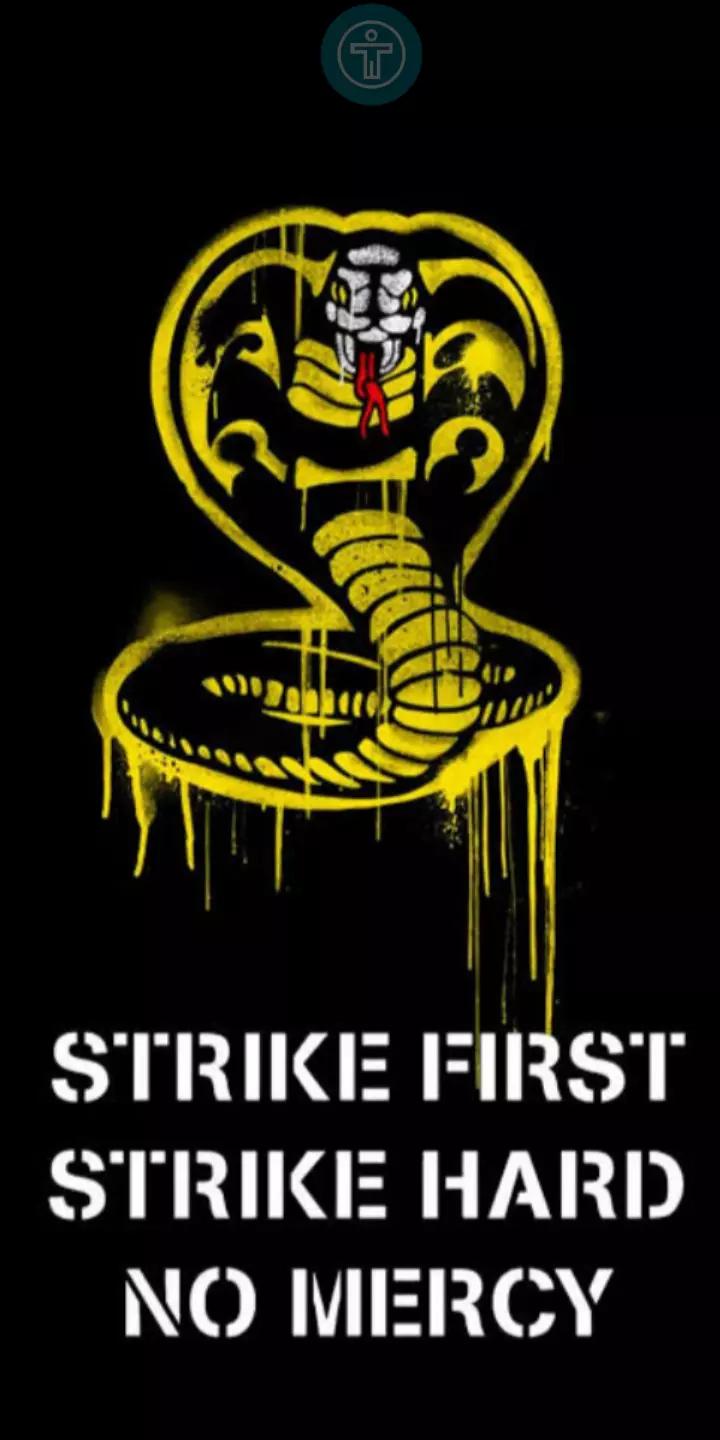 Cobra Kai\_\_:A Destroyer thumbnail