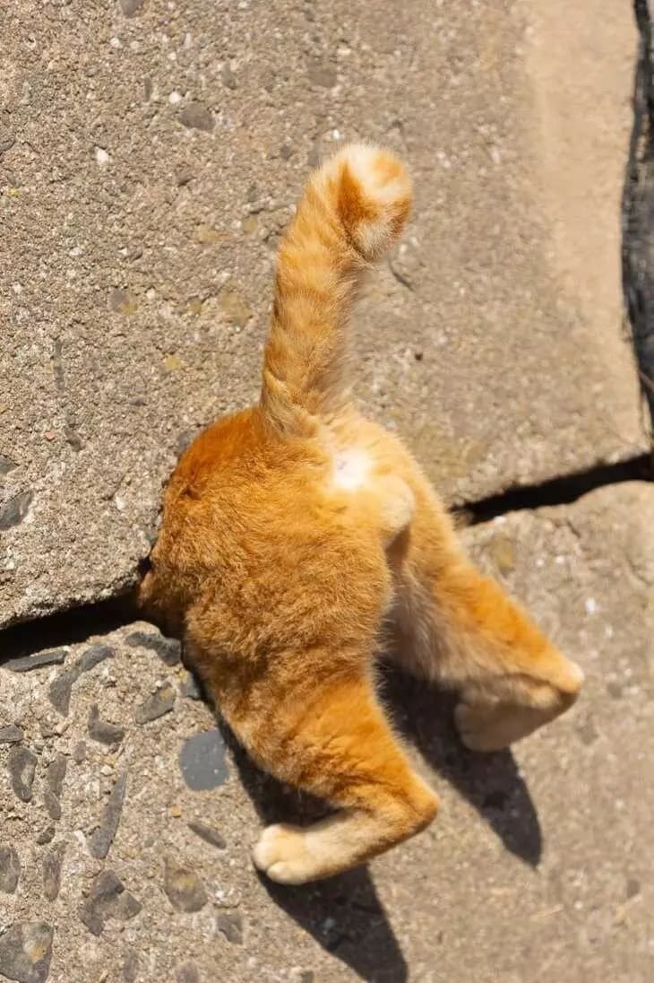 Stuck in a wall thumbnail