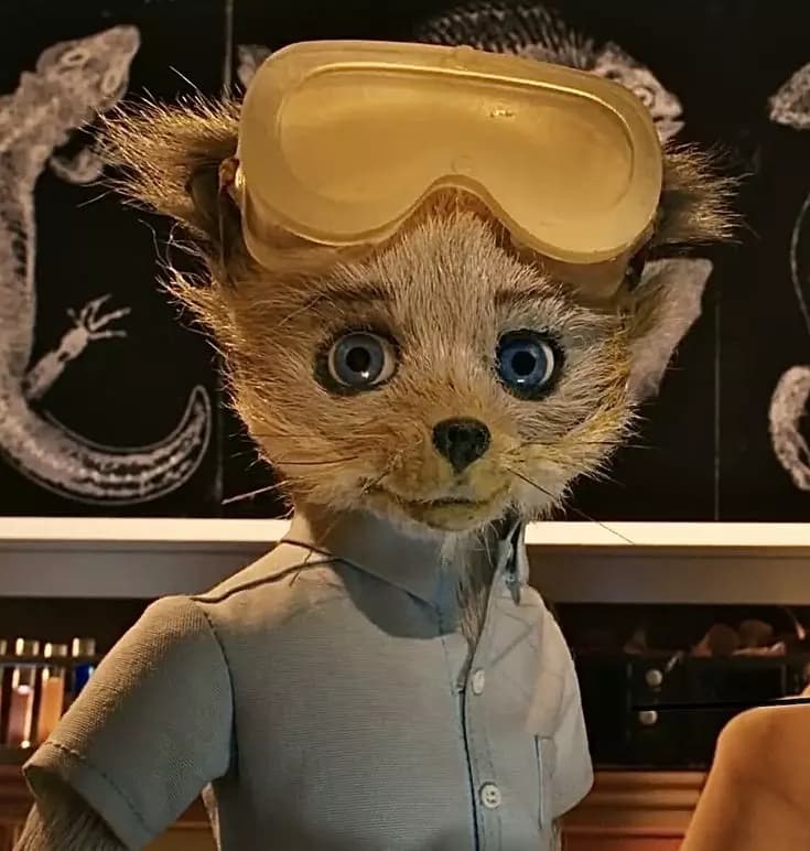 Kristofferson Silverfox thumbnail