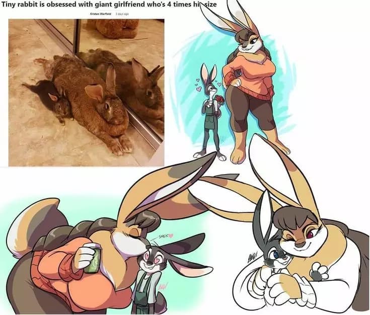 Noah thumbnail