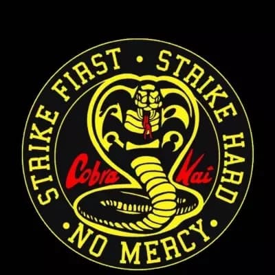 Cobra kai RPG thumbnail