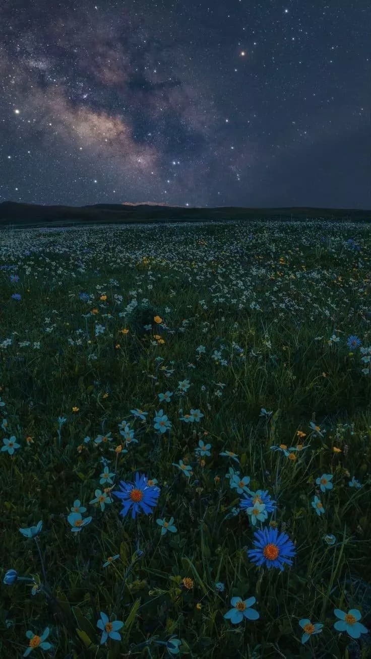 Field of Flowers thumbnail