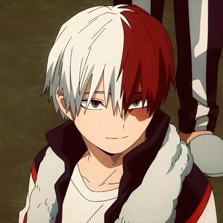 Shoto todoroki thumbnail