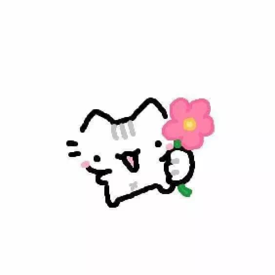 Cute Cat thumbnail