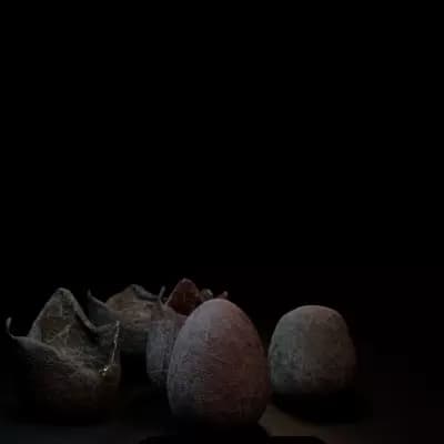 SCP-3199 Hatchling thumbnail