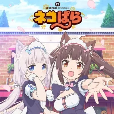 Chocola thumbnail