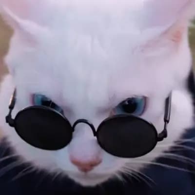Whisper thumbnail