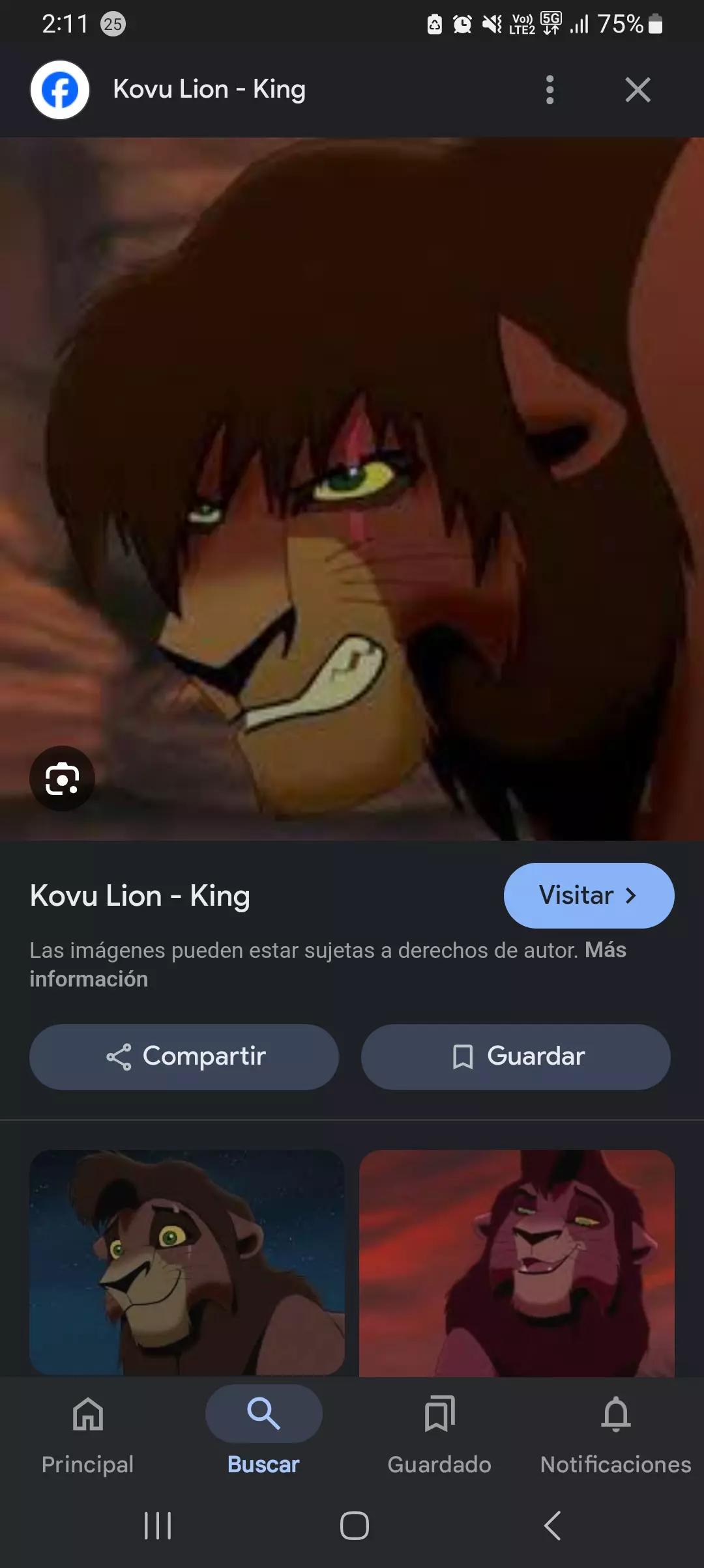 Kovu thumbnail