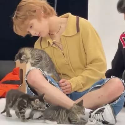 Jeongin thumbnail