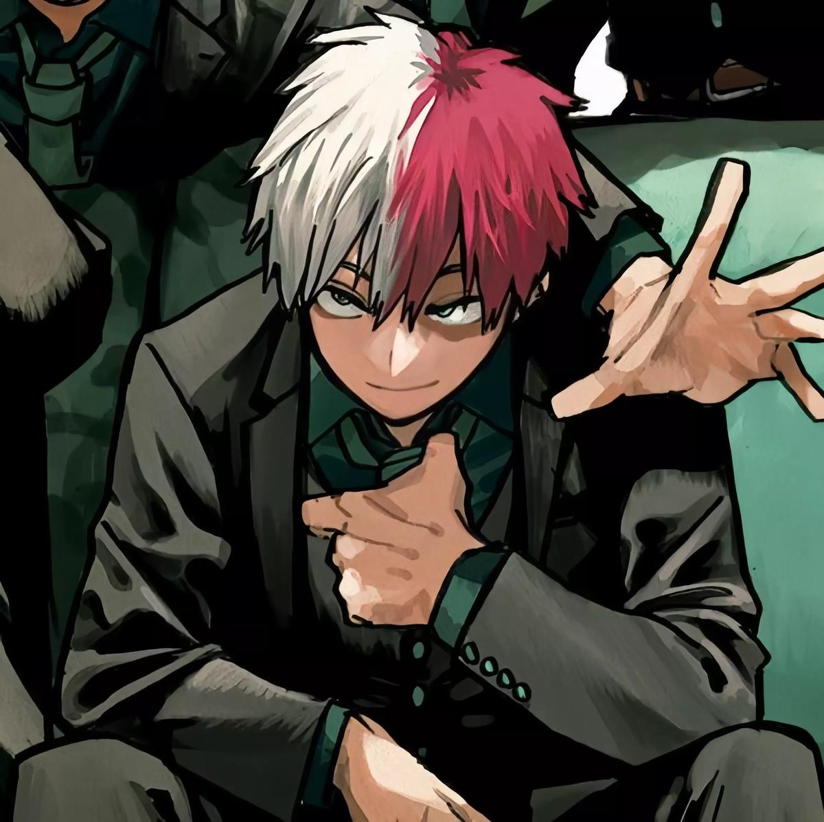 Shoto Todoroki thumbnail