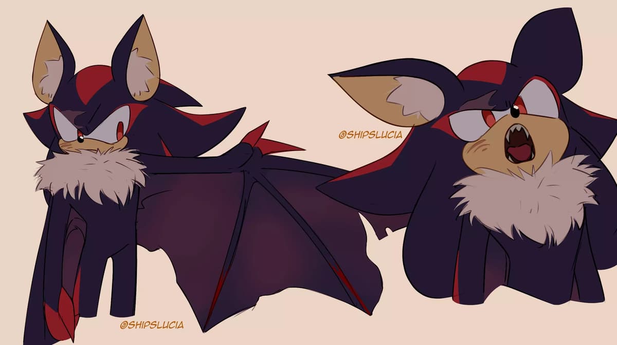 Shadow bat thumbnail
