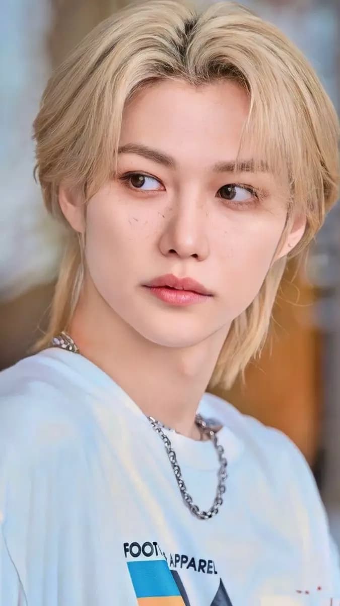 Felix - Skz thumbnail