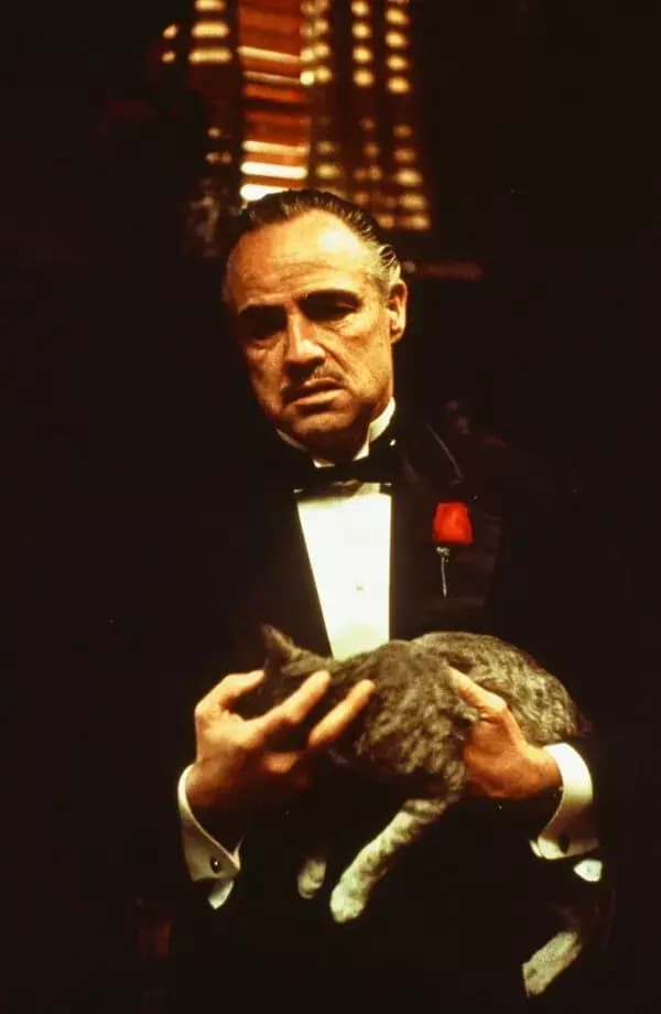 Vito Corleone thumbnail