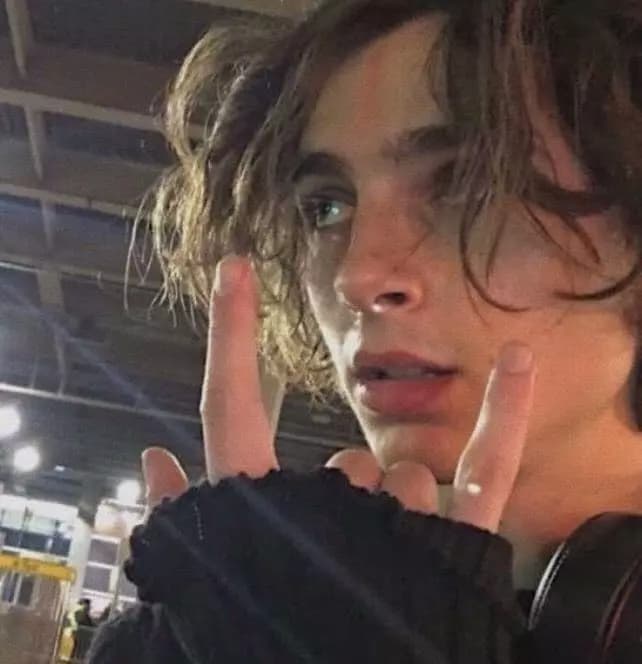 Timothee Chalamet/･: *but what friends* : ･ thumbnail