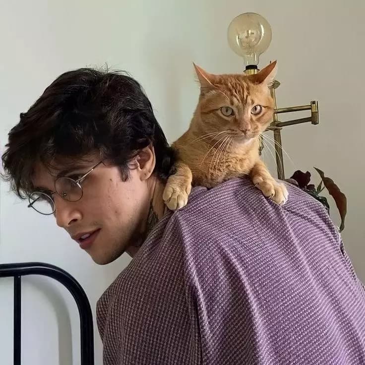André thumbnail