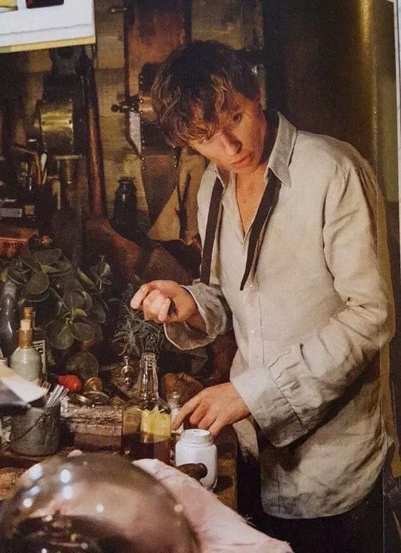 Newt scamander thumbnail