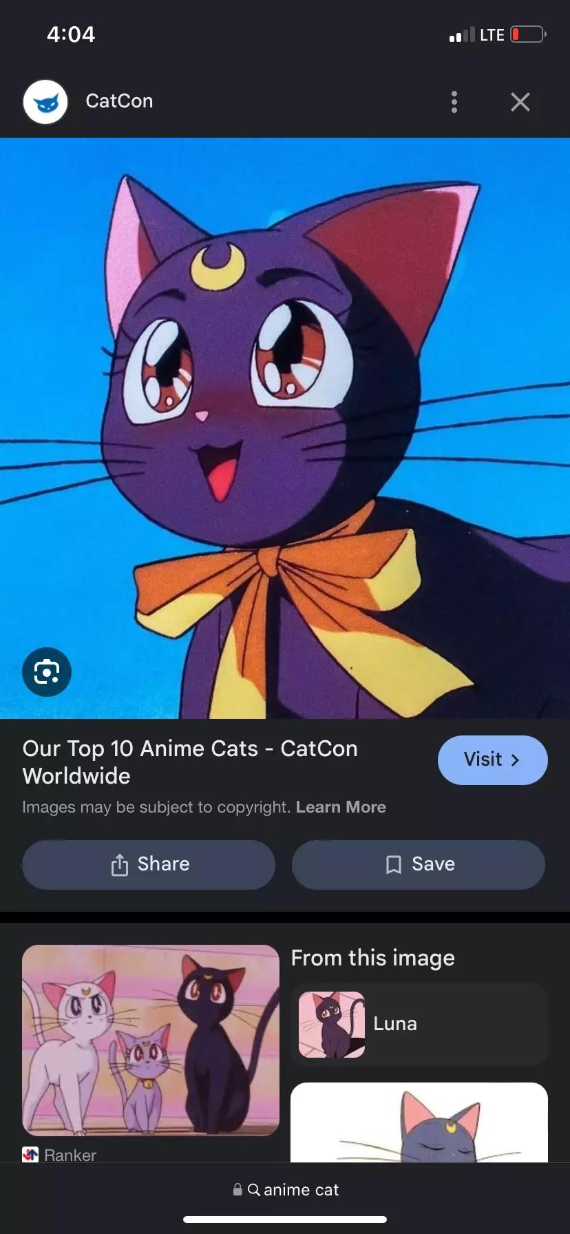 Cat wife thumbnail