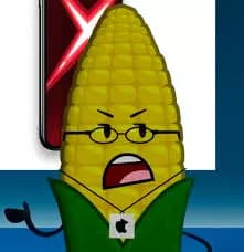 Steve Cobs thumbnail