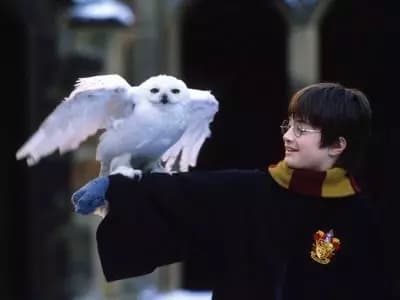 Harry James Potter thumbnail