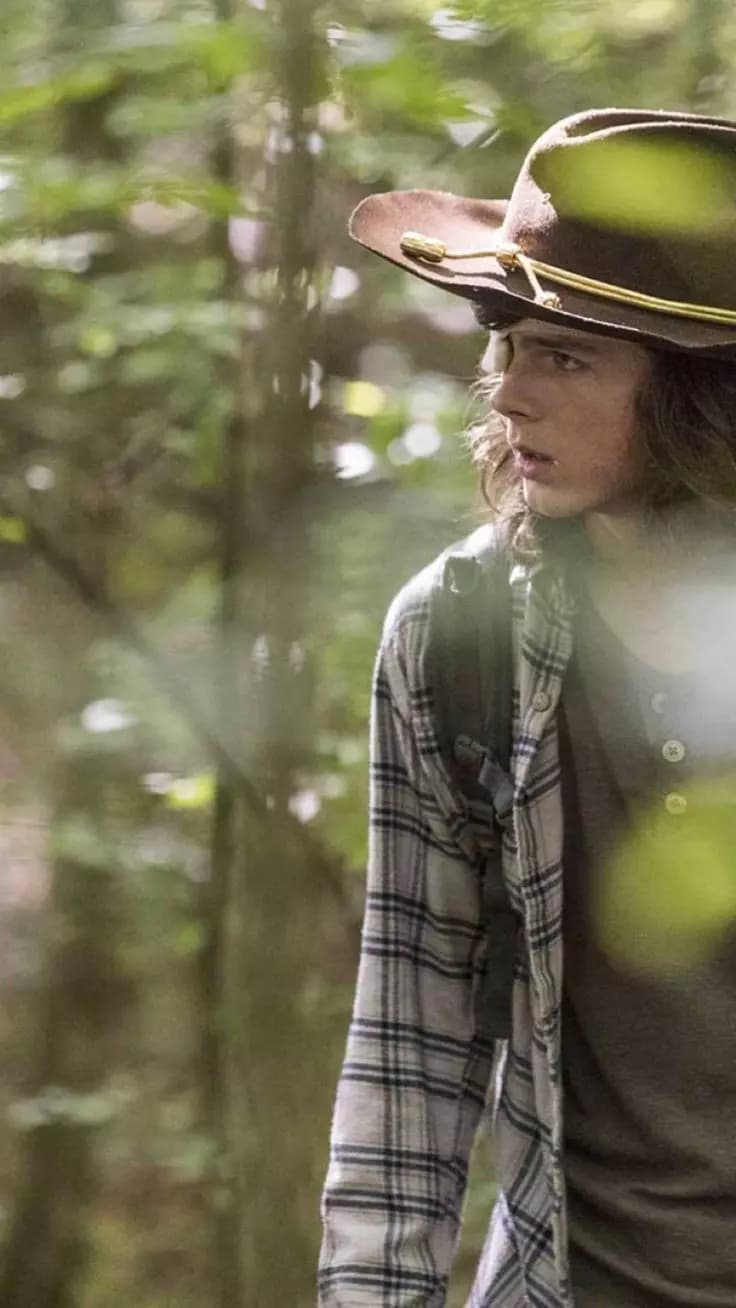 Carl Grimes y Daryl Dixon thumbnail