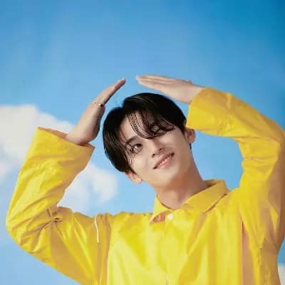 Kim Mingyu thumbnail
