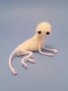 Zep the bald cat thumbnail