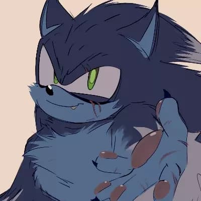 Sonic Wolf/Wolf hedgehog thumbnail