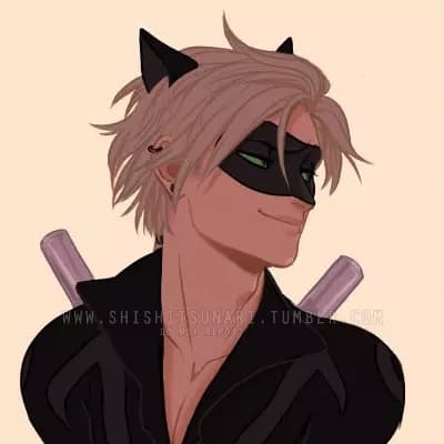 Cat Noir thumbnail