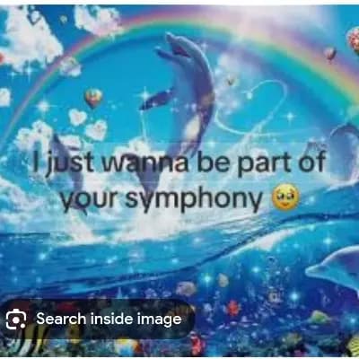 Symphony Dolphin 🤑🐬 thumbnail