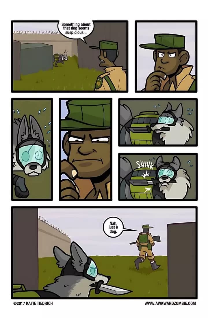A soldier always does his duty thumbnail