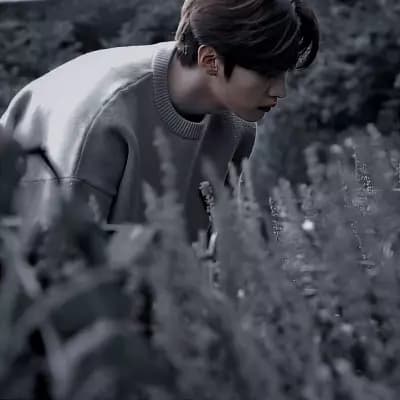 Minho thumbnail