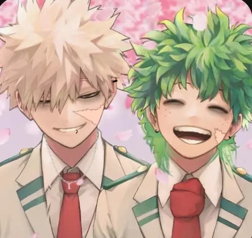 Izuku Midoriya y Katsuki Bakugou. thumbnail