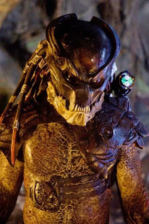 Beserker Predator thumbnail