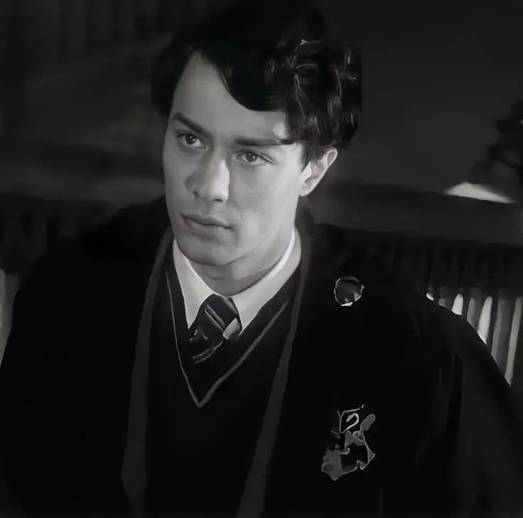 Professor Tom Riddle thumbnail