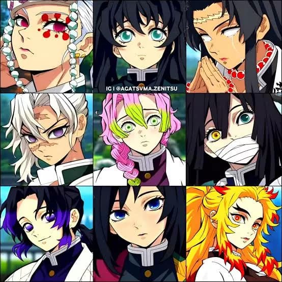 All female Hashira( Minus Muichiro and Giyomei) thumbnail