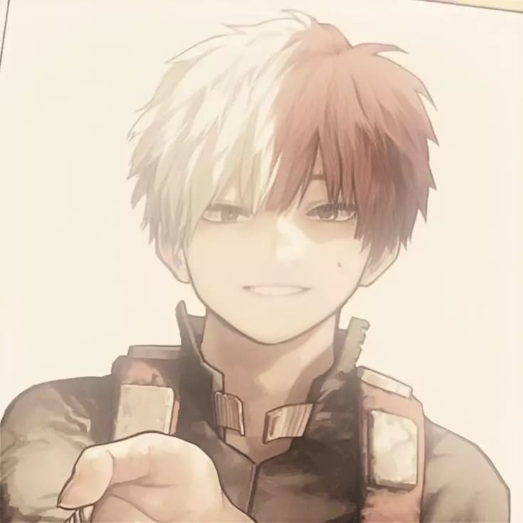 Shoto Todoroki thumbnail