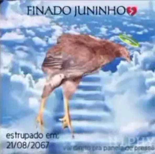 FINED JUNINHO 😭😭😭😭 thumbnail