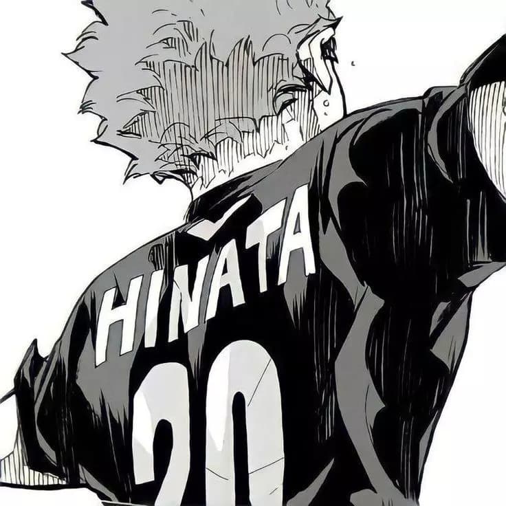 Shoyou Hinata thumbnail