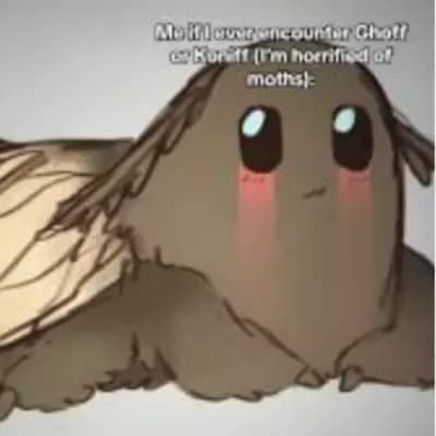 Köniff thumbnail