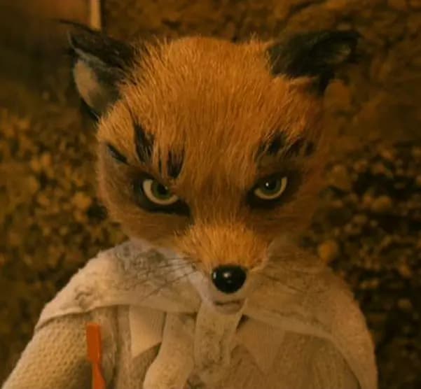 Ashton Fox thumbnail