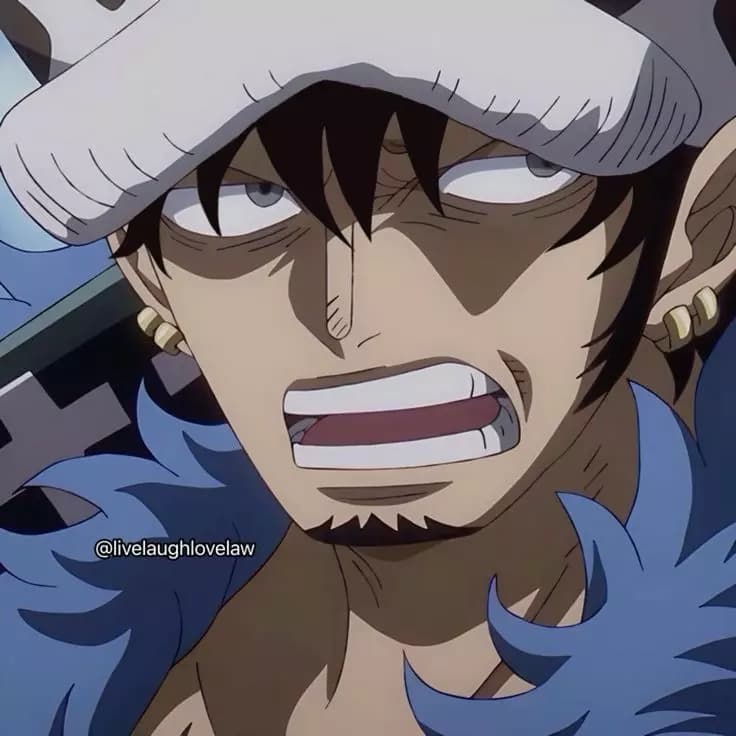 Law thumbnail