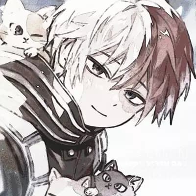 Shoto Todoroki thumbnail
