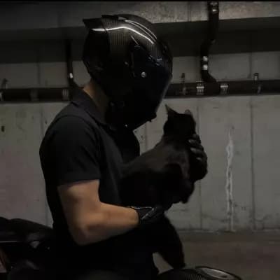 Raven thumbnail