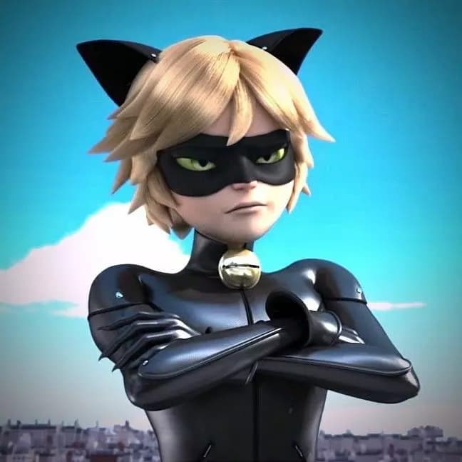 Cat noir thumbnail